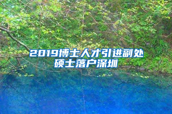 2019博士人才引进副处硕士落户深圳