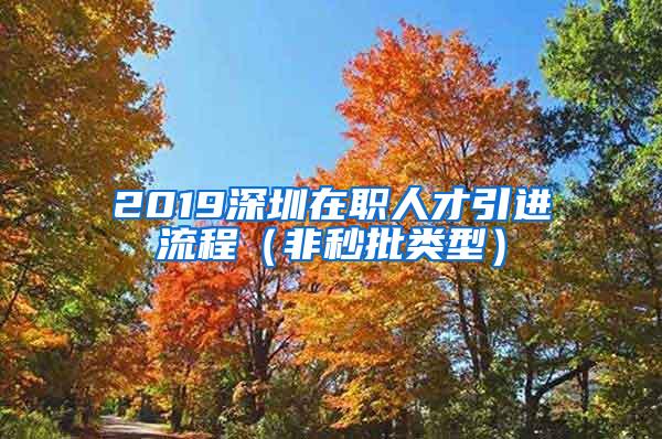 2019深圳在职人才引进流程（非秒批类型）