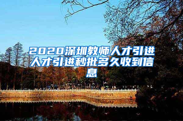 2020深圳教师人才引进人才引进秒批多久收到信息