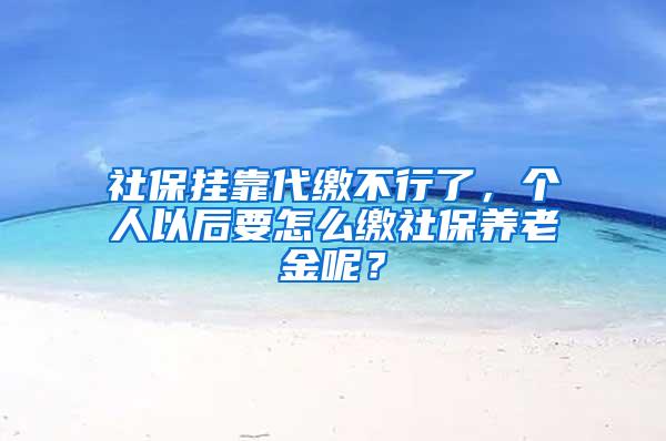 社保挂靠代缴不行了，个人以后要怎么缴社保养老金呢？