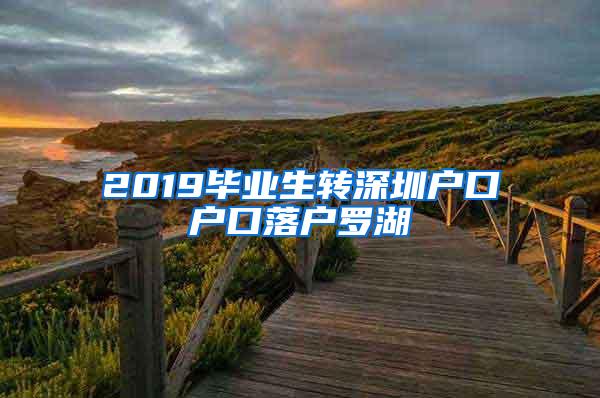 2019毕业生转深圳户口户口落户罗湖