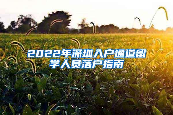 2022年深圳入户通道留学人员落户指南