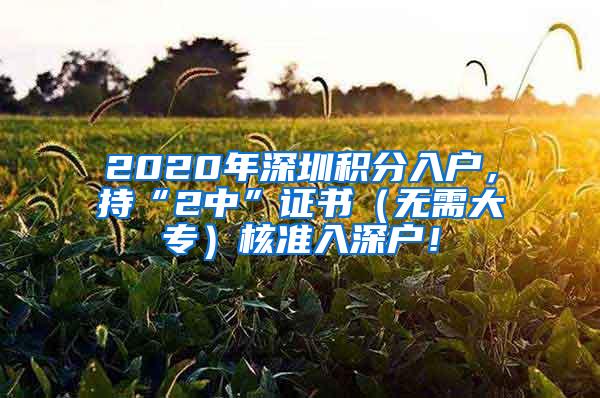 2020年深圳积分入户，持“2中”证书（无需大专）核准入深户！