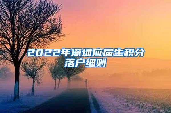 2022年深圳应届生积分落户细则