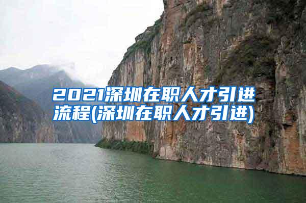 2021深圳在职人才引进流程(深圳在职人才引进)