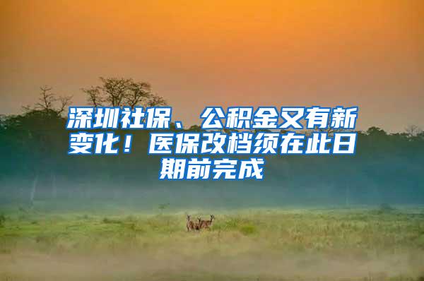 深圳社保、公积金又有新变化！医保改档须在此日期前完成