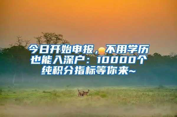 今日开始申报，不用学历也能入深户：10000个纯积分指标等你来~