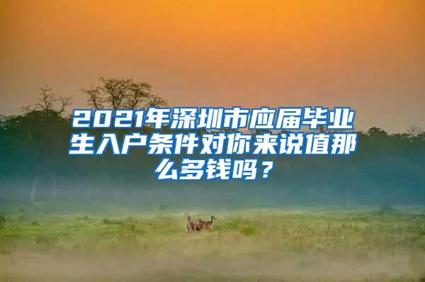 2021年深圳市应届毕业生入户条件对你来说值那么多钱吗？