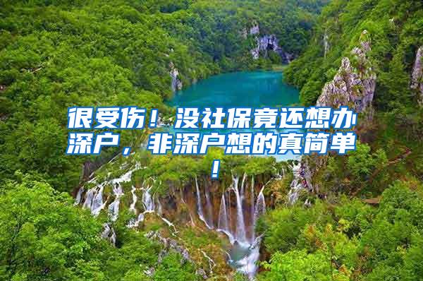 很受伤！没社保竟还想办深户，非深户想的真简单！