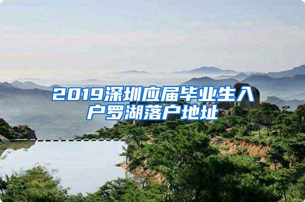 2019深圳应届毕业生入户罗湖落户地址