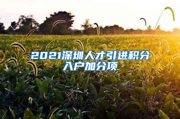 2021深圳人才引进积分入户加分项