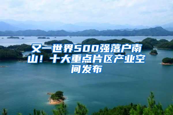 又一世界500强落户南山！十大重点片区产业空间发布