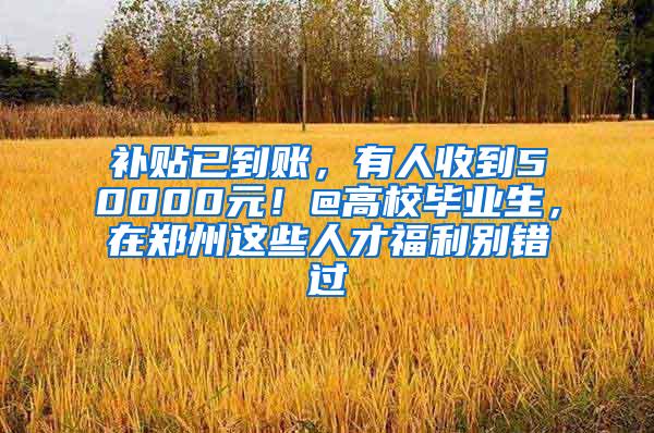 补贴已到账，有人收到50000元！@高校毕业生，在郑州这些人才福利别错过