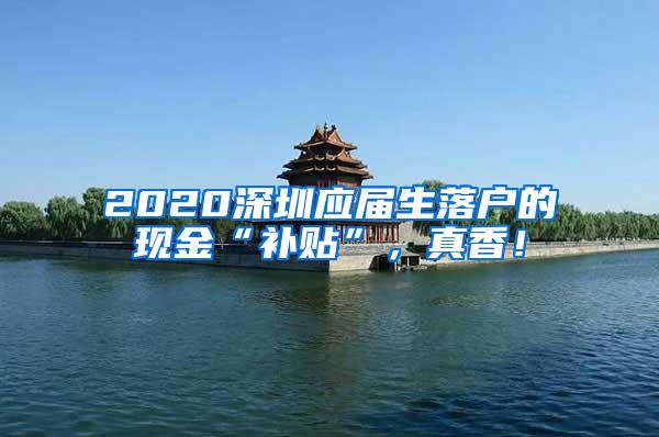 2020深圳应届生落户的现金“补贴”，真香！