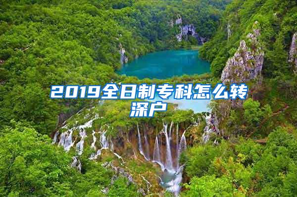 2019全日制专科怎么转深户