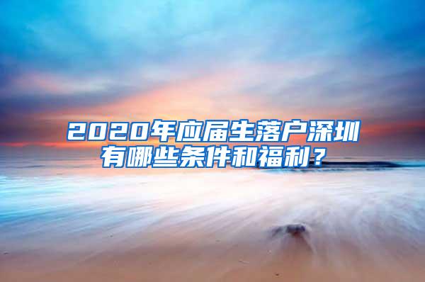 2020年应届生落户深圳有哪些条件和福利？