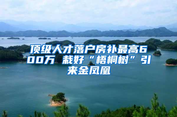 顶级人才落户房补最高600万 栽好“梧桐树”引来金凤凰