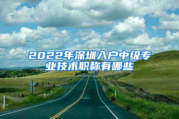 2022年深圳入户中级专业技术职称有哪些