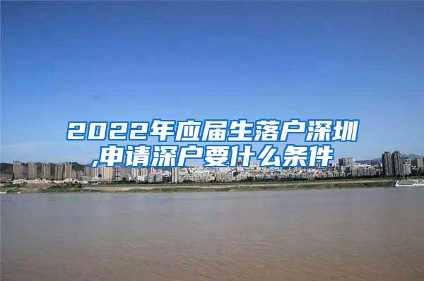 2022年应届生落户深圳,申请深户要什么条件