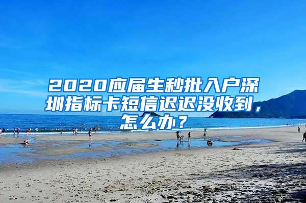 2020应届生秒批入户深圳指标卡短信迟迟没收到，怎么办？