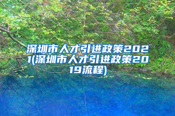 深圳市人才引进政策2021(深圳市人才引进政策2019流程)