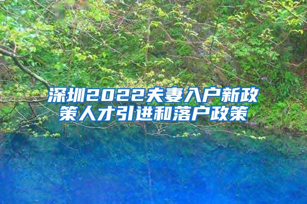 深圳2022夫妻入户新政策人才引进和落户政策