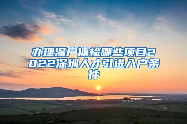 办理深户体检哪些项目2022深圳人才引进入户条件