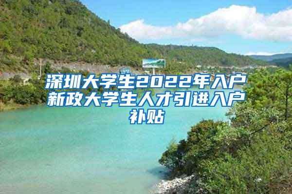 深圳大学生2022年入户新政大学生人才引进入户补贴