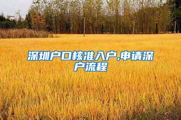 深圳户口核准入户,申请深户流程