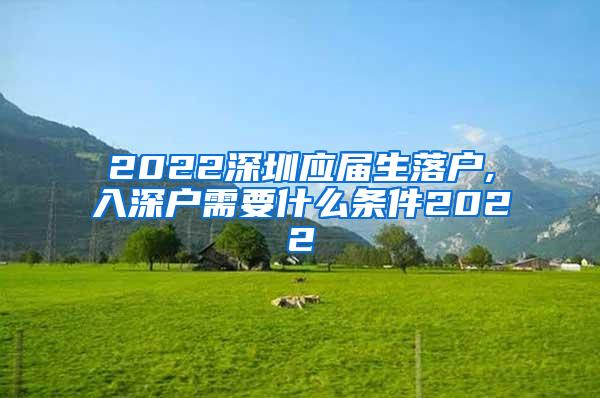 2022深圳应届生落户,入深户需要什么条件2022