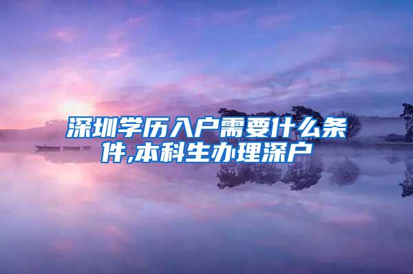 深圳学历入户需要什么条件,本科生办理深户