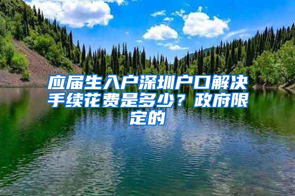 应届生入户深圳户口解决手续花费是多少？政府限定的