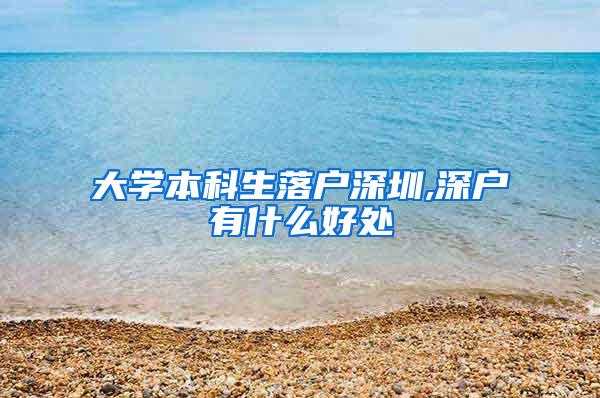 大学本科生落户深圳,深户有什么好处