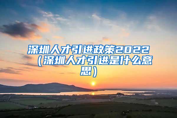 深圳人才引进政策2022（深圳人才引进是什么意思）