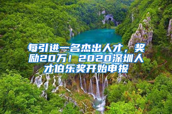 每引进一名杰出人才，奖励20万！2020深圳人才伯乐奖开始申报