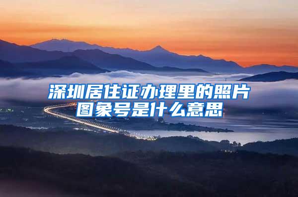 深圳居住证办理里的照片图象号是什么意思