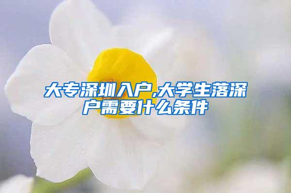 大专深圳入户,大学生落深户需要什么条件