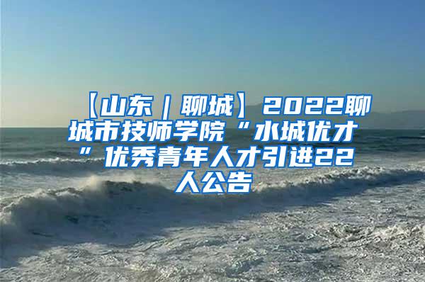 【山东｜聊城】2022聊城市技师学院“水城优才”优秀青年人才引进22人公告