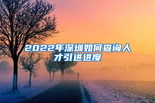 2022年深圳如何查询人才引进进度