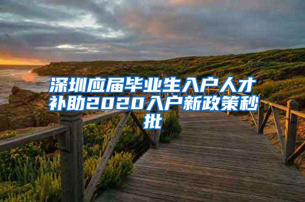 深圳应届毕业生入户人才补助2020入户新政策秒批