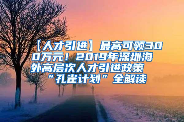 【人才引进】最高可领300万元！2019年深圳海外高层次人才引进政策“孔雀计划”全解读