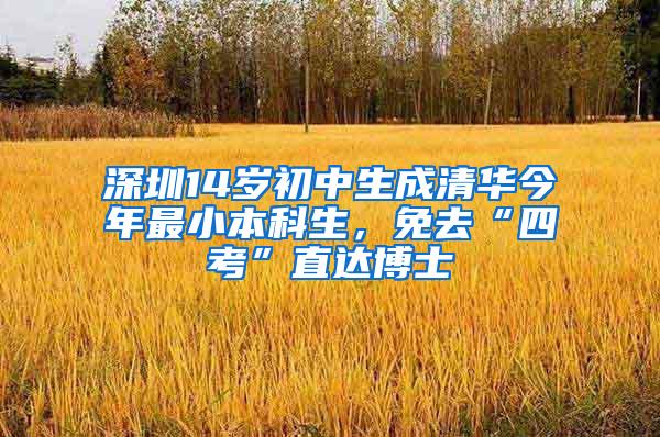 深圳14岁初中生成清华今年最小本科生，免去“四考”直达博士