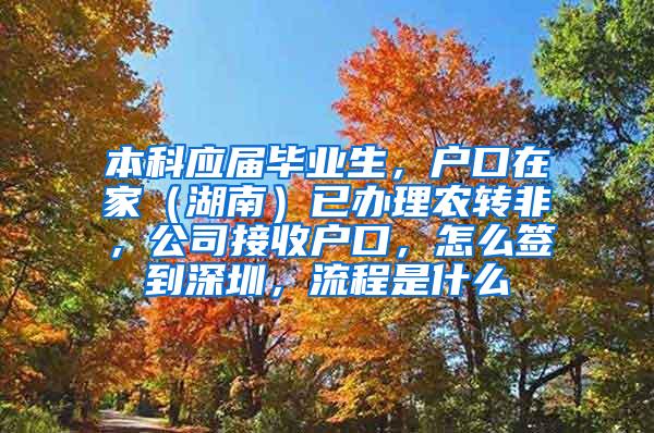 本科应届毕业生，户口在家（湖南）已办理农转非，公司接收户口，怎么签到深圳，流程是什么