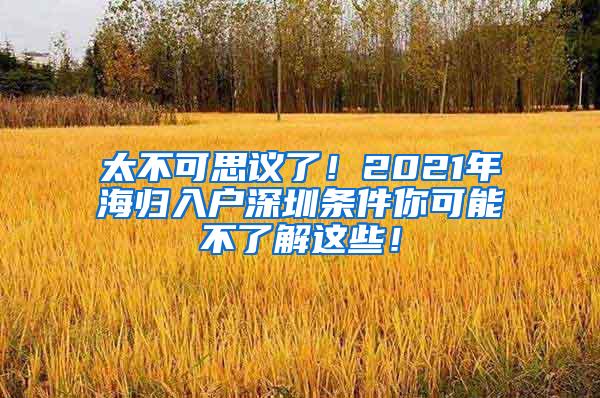 太不可思议了！2021年海归入户深圳条件你可能不了解这些！