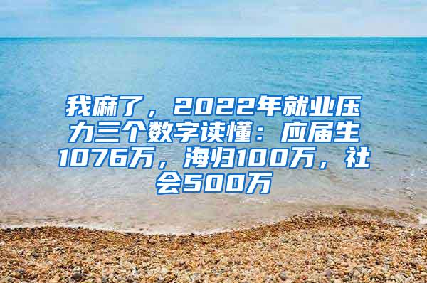 我麻了，2022年就业压力三个数字读懂：应届生1076万，海归100万，社会500万