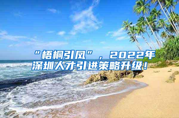 “梧桐引凤”，2022年深圳人才引进策略升级！