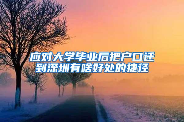 应对大学毕业后把户口迁到深圳有啥好处的捷径