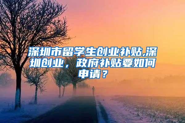 深圳市留学生创业补贴,深圳创业，政府补贴要如何申请？