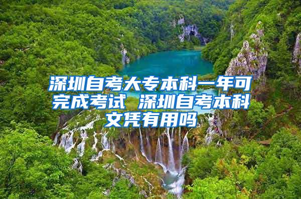 深圳自考大专本科一年可完成考试 深圳自考本科文凭有用吗