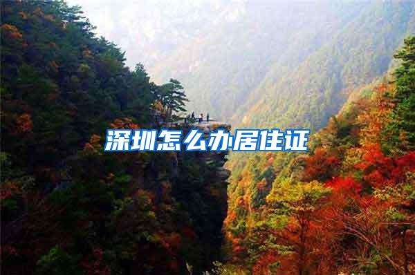 深圳怎么办居住证